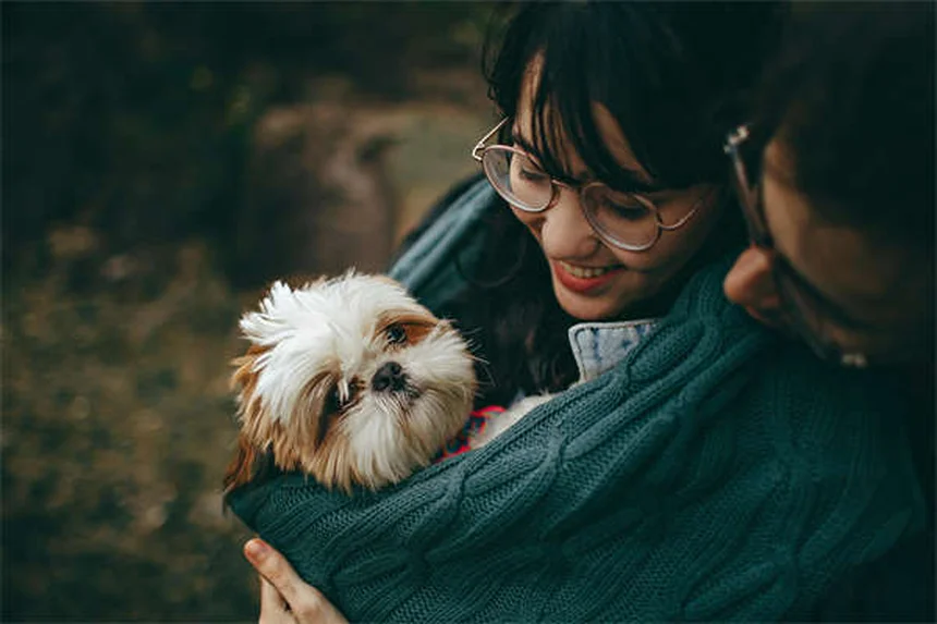 犬が土を食べる理由と今すぐできる防止策